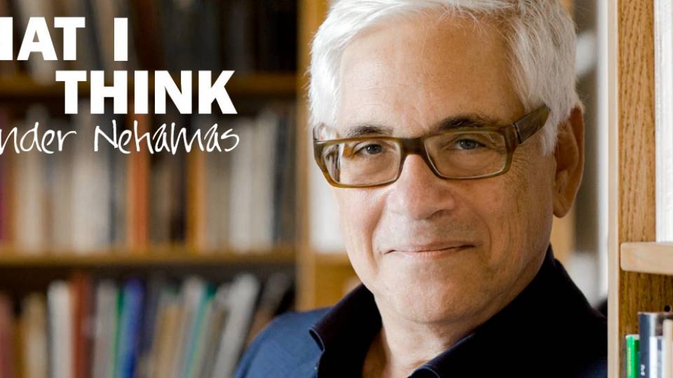 "What I think: Alexander Nehamas"