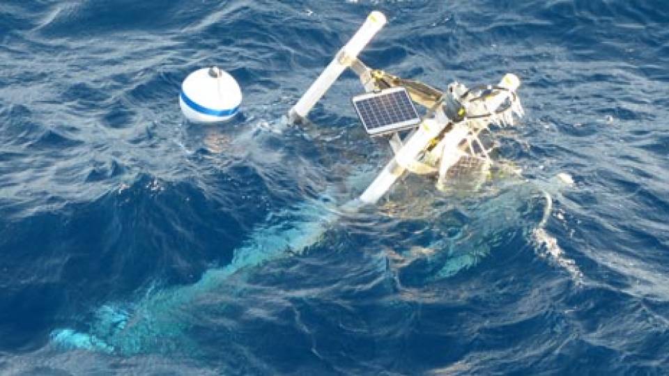 Frederik Simons' Son of Mermaid