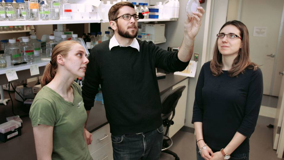 Professor Clifford Brangwynne and graduate students Stephanie Weber and Marina Feric