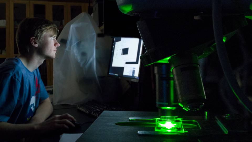 Student at computer with green light coming from microscope