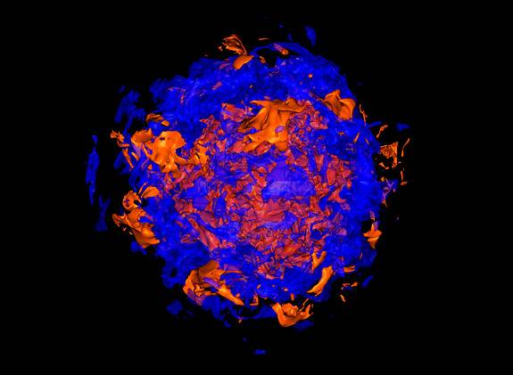 Burrows collapsing star