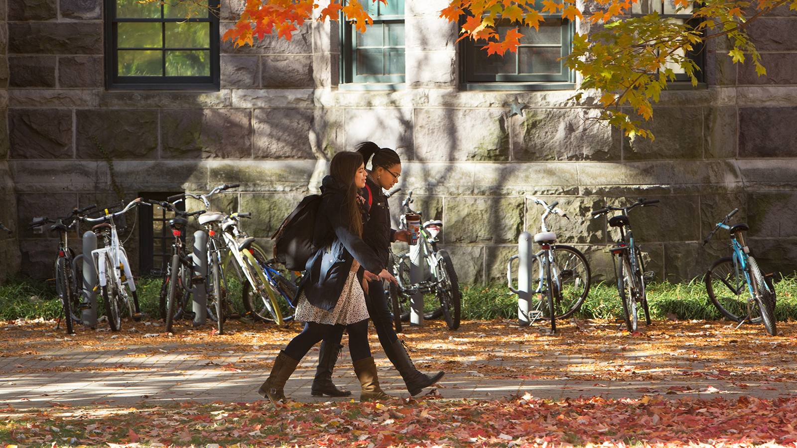 秋季学生在校园散步