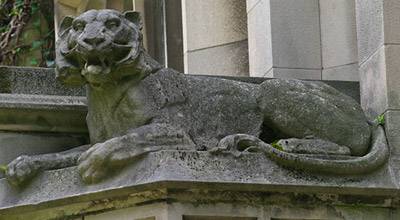 Gargoyles tiger