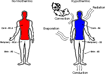 Body Heat Energy