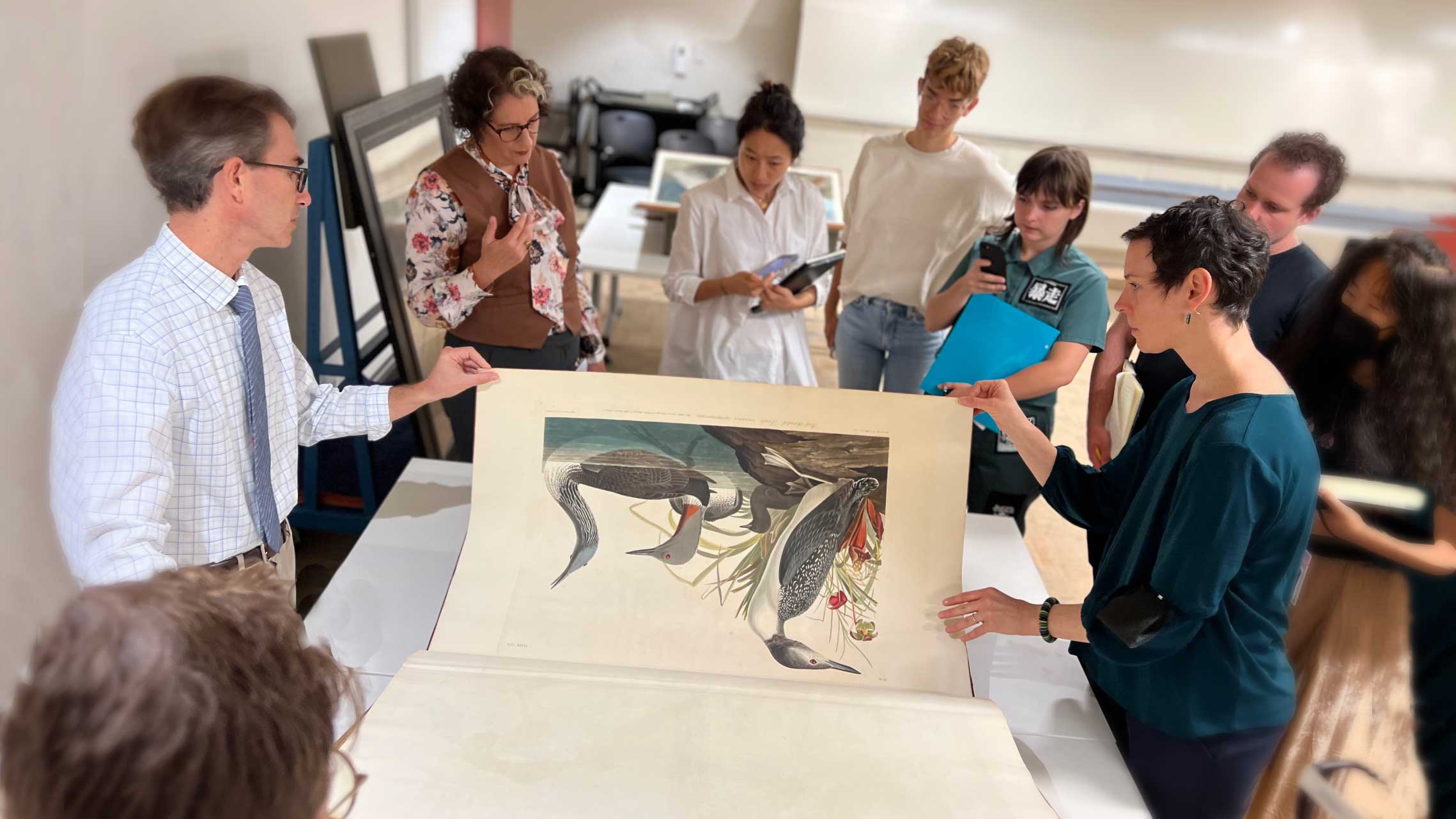 How art by Audubon, Darwin and others influenced science Insights from a Princeton course photo