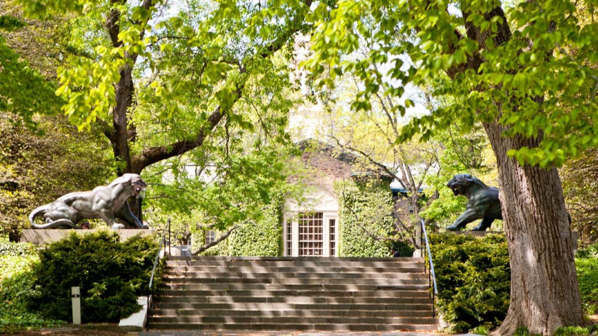 Summer Programs on campus tigers behind Nassau Hall