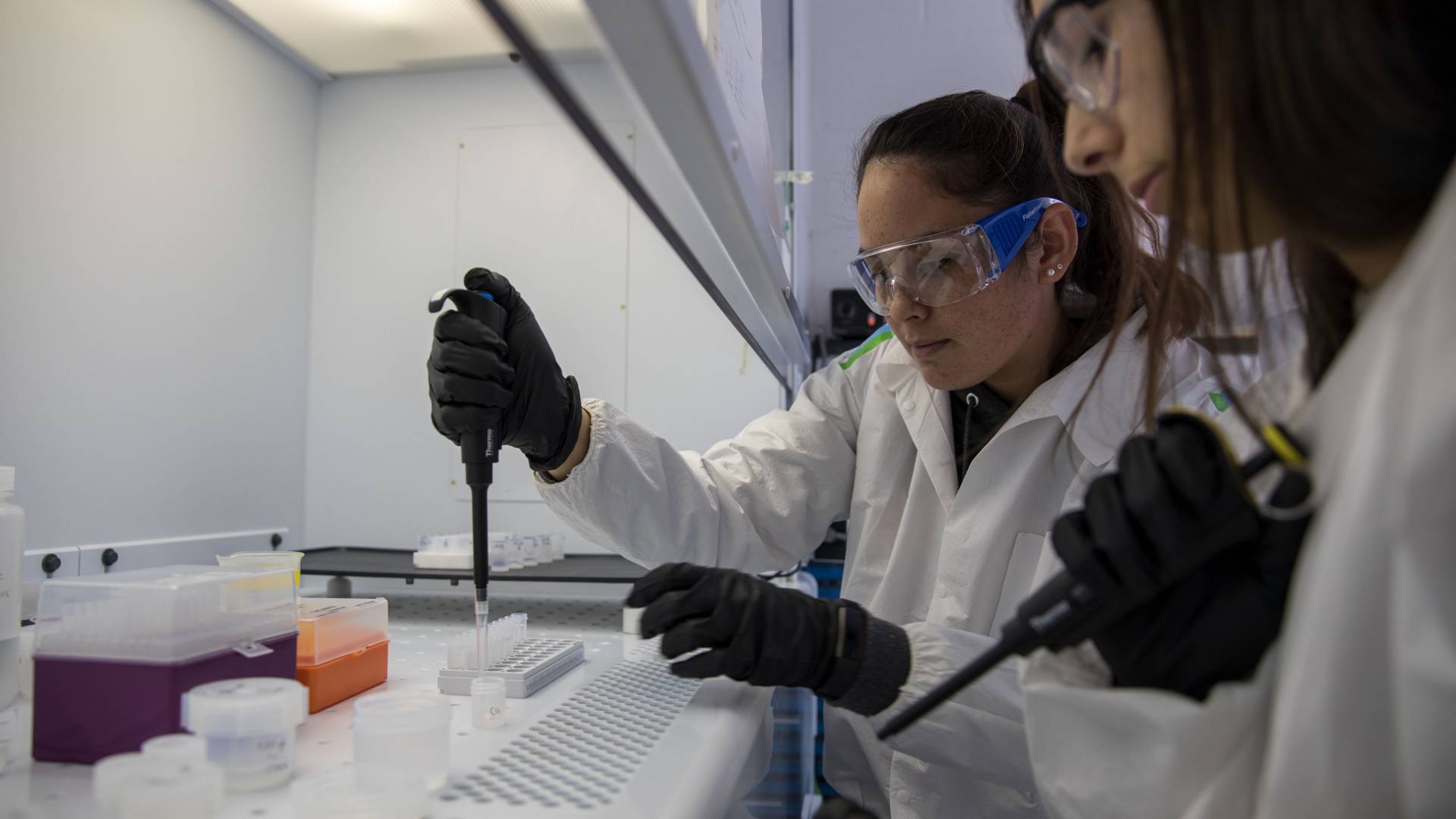 Students working in lab