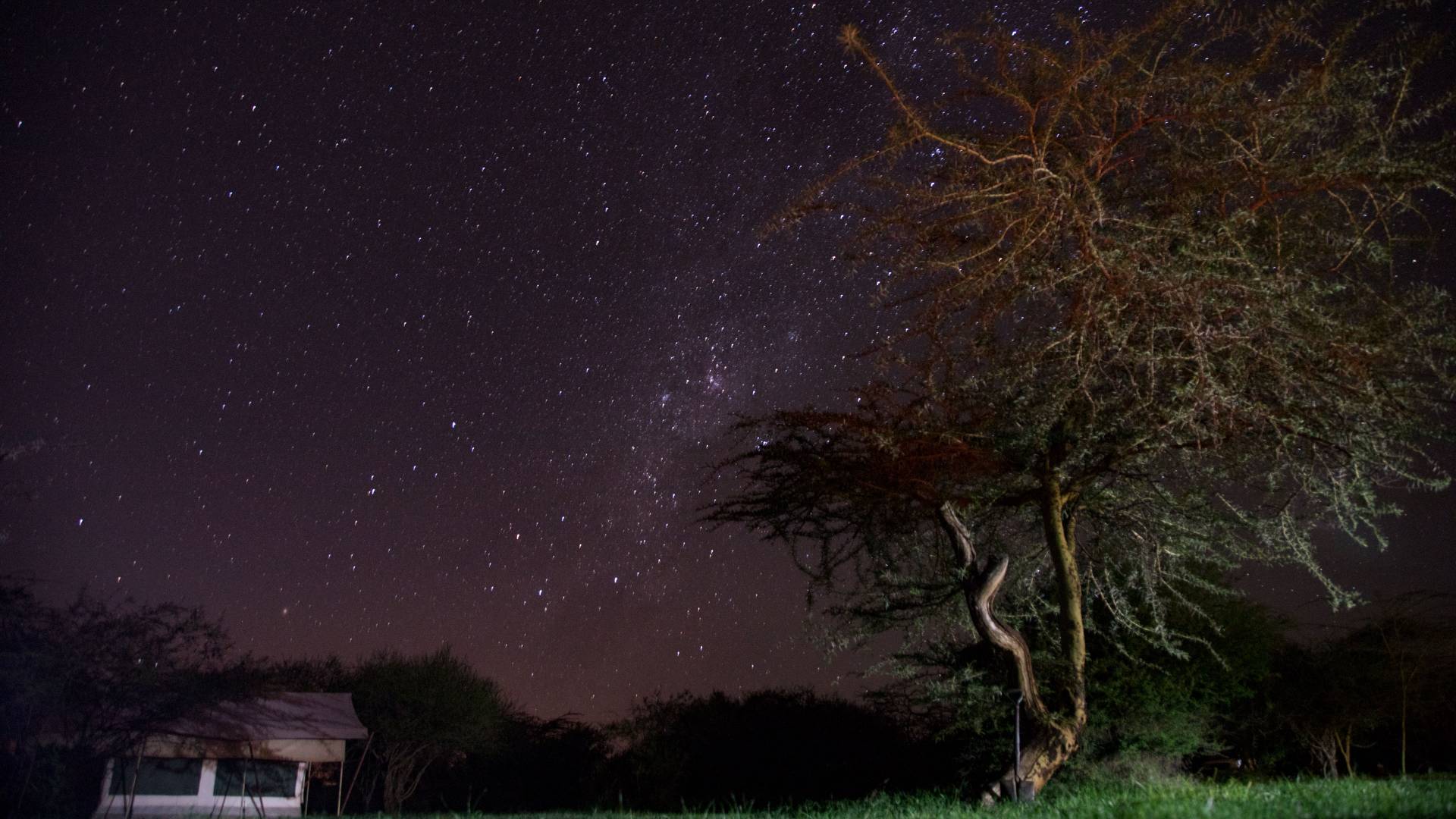 Stars at night at Mpala