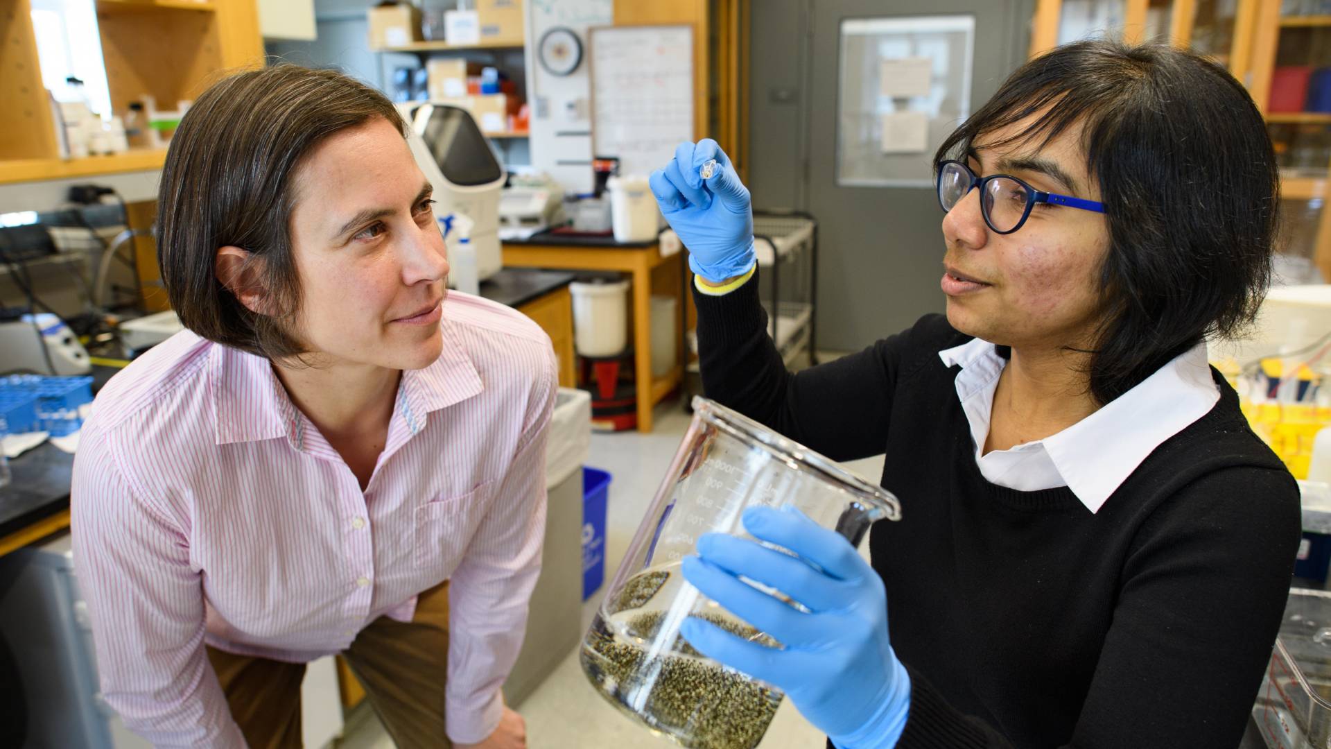 Sabine Petry and Akanksha Thawani examining frog eggs