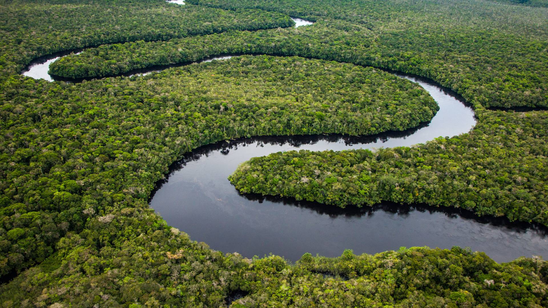 A World Without The Amazon Safeguarding The Earth S Largest Rainforest Is Focus Of Princeton Conference