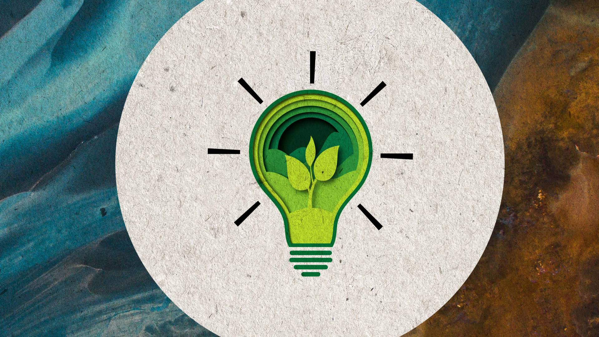 A lightbulb with leaves growing in it