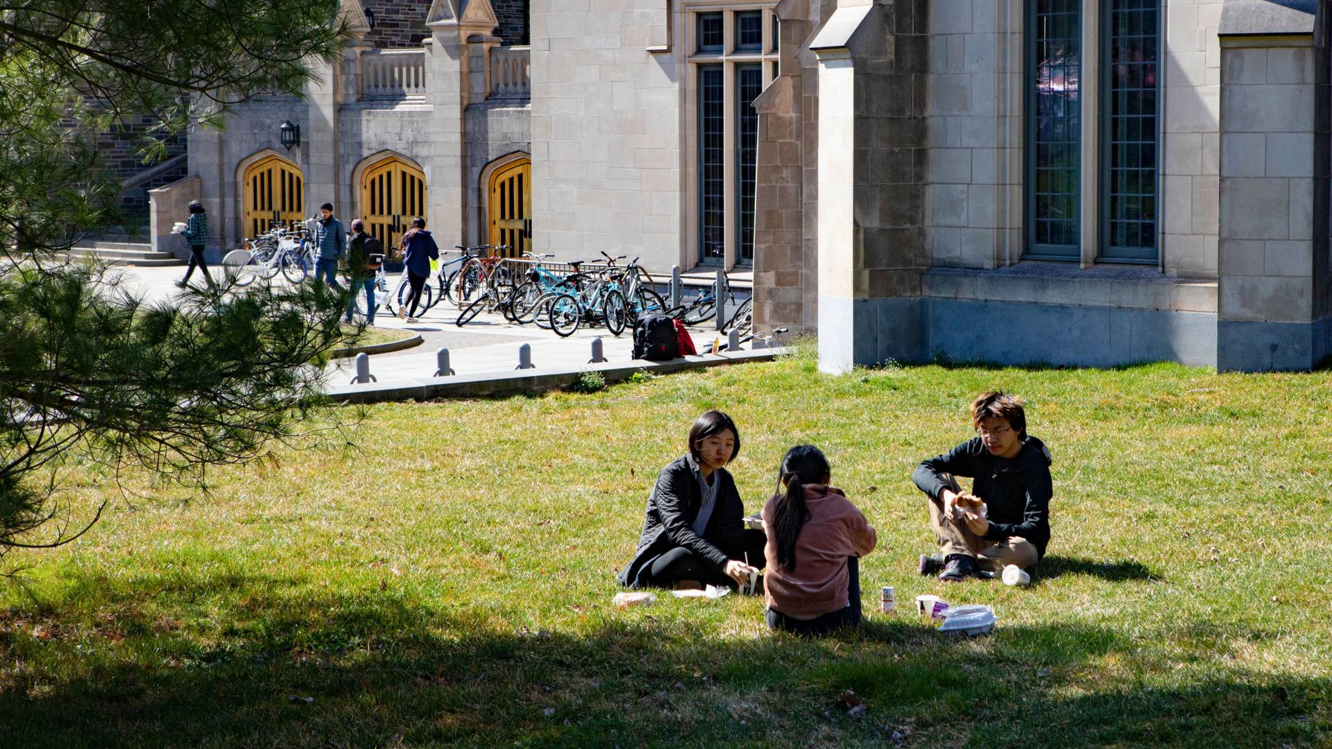 students on campus in spring
