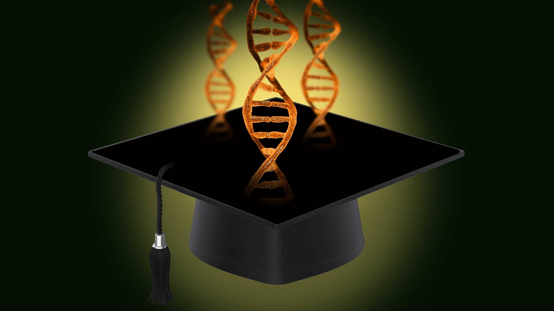 dna structures and grad cap