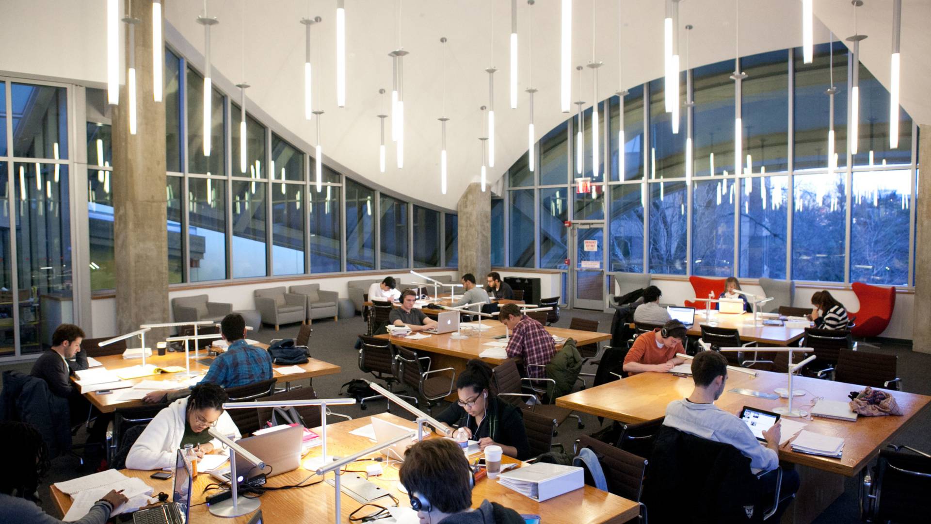 Students study in the "tree house" room at Lewis Library.