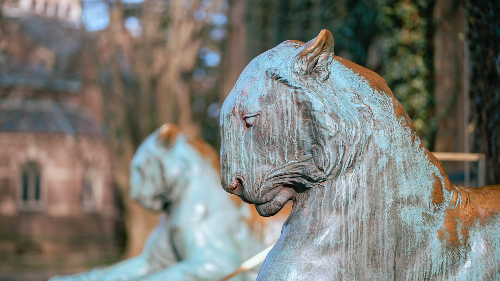 Princeton tiger sculptures