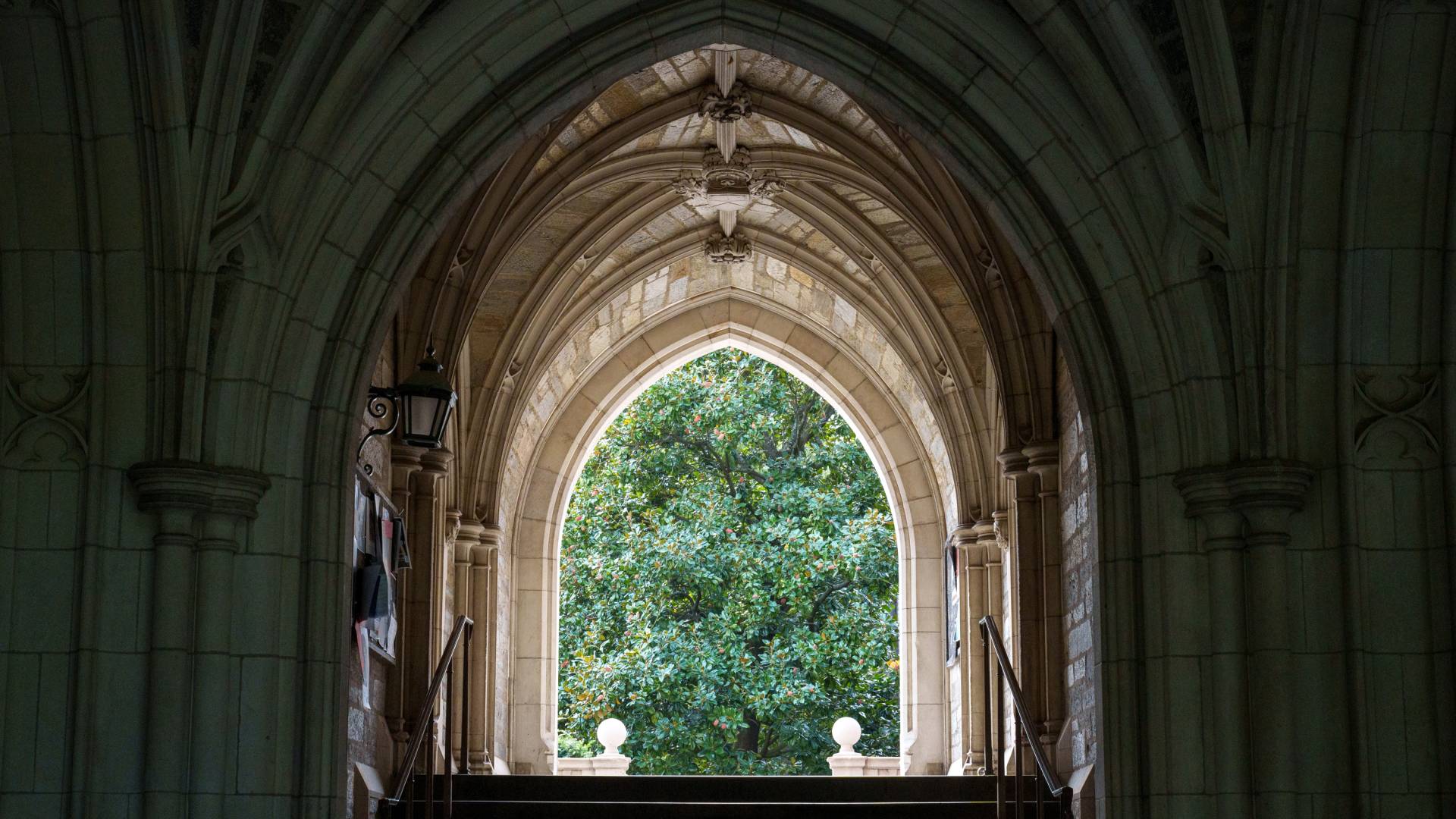 Tree at the end of an arched tunnel on campus