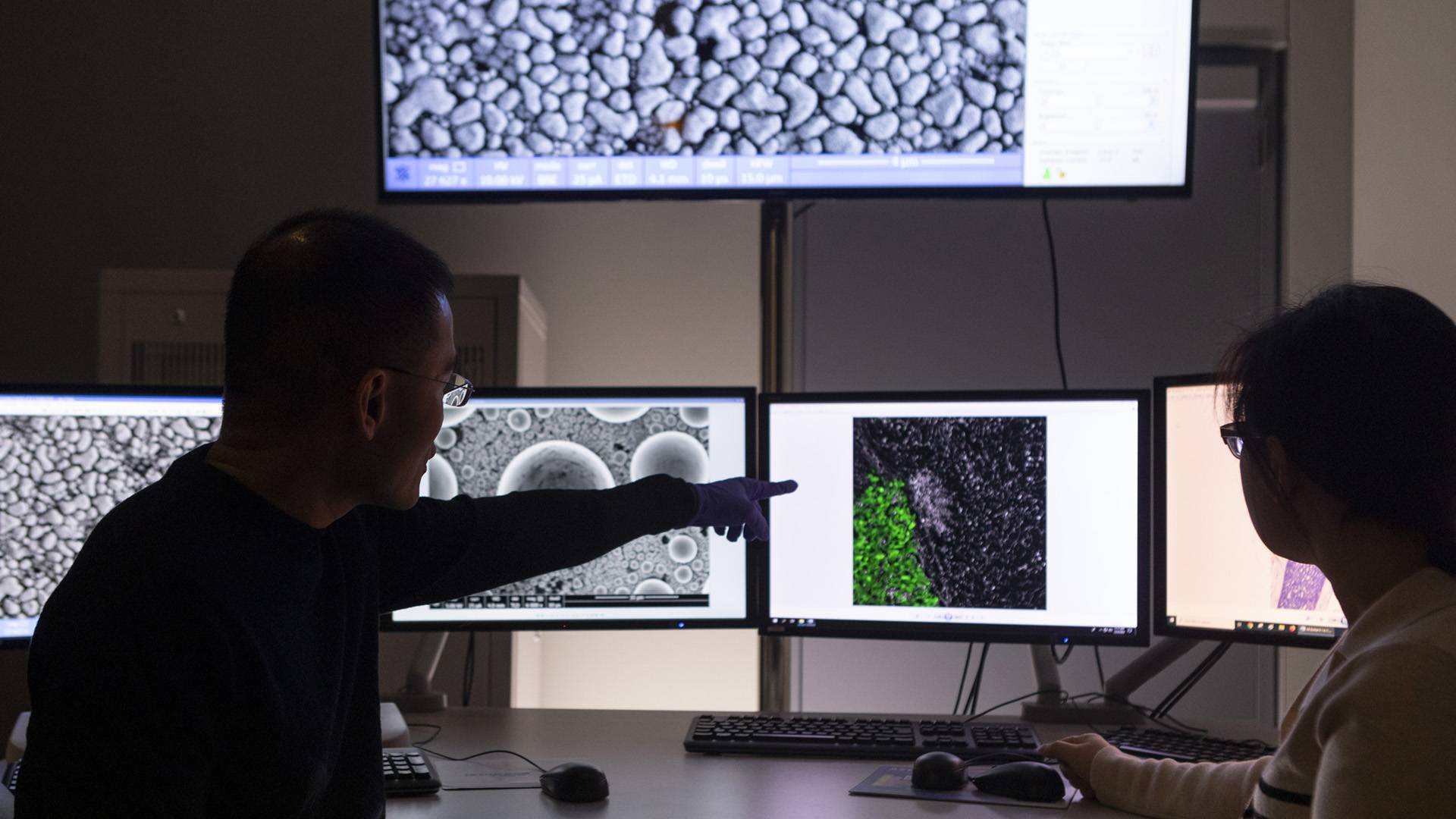 Professor Yibin Kang shows cancer cells on a monitor array to a postdoctoral fellow.