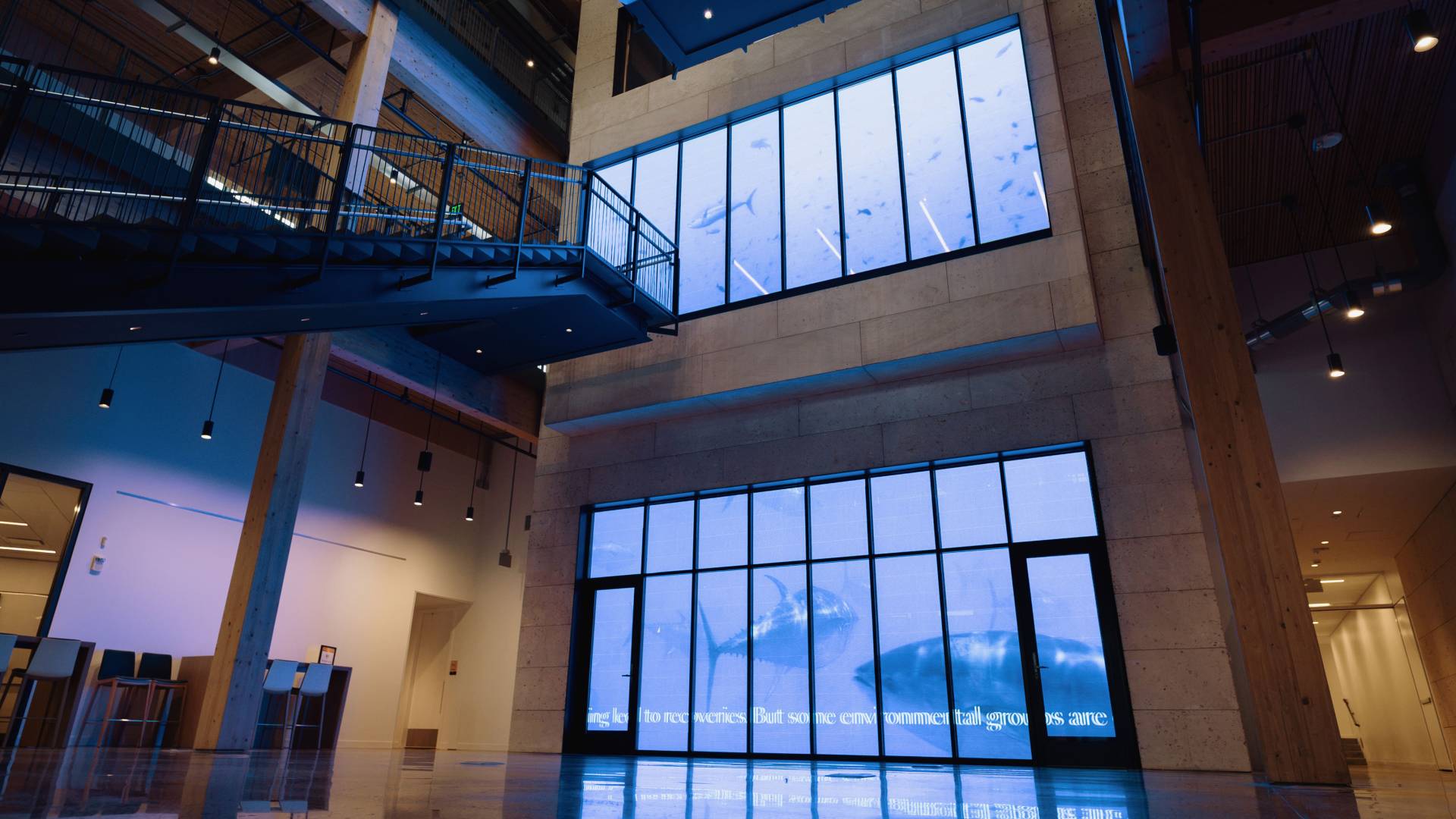 A whale appears to swim along the wall of Briger Hall as part of the multimedia exhibit.