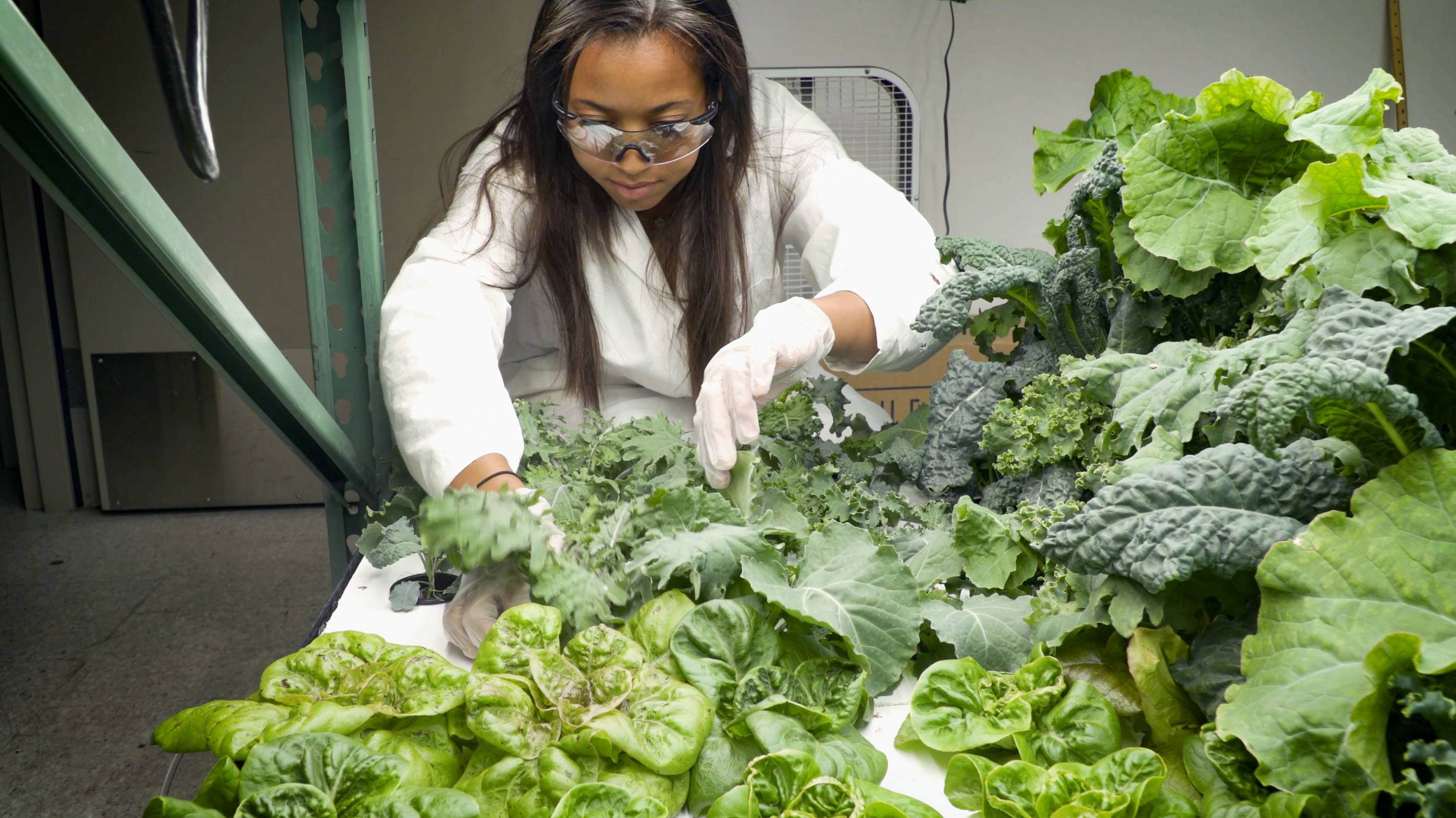 Room For Growth: Princeton's Vertical Farming Project Harvests ...