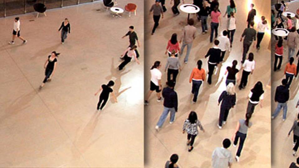 Flock Logic Video home page