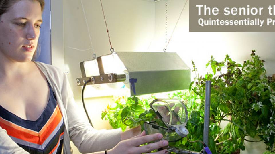 Sr Thesis Posner home page