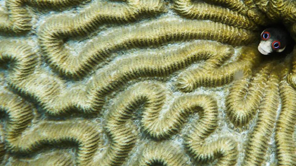 Art of Science 2013 homepage