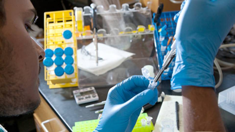 Summer Undergrad Research homepage