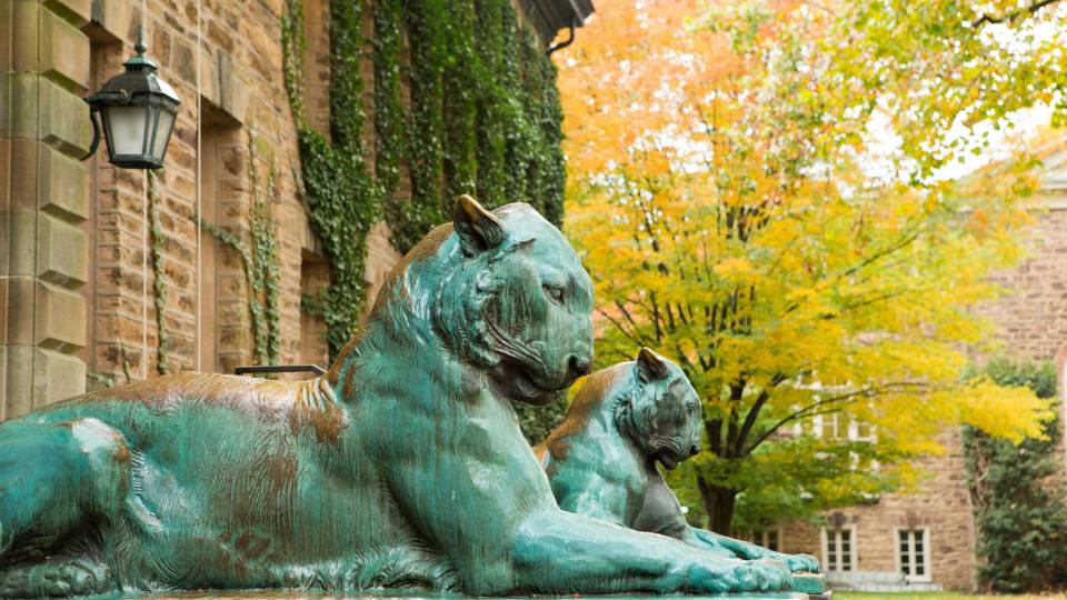 Tiger statues outside Nassau Hall
