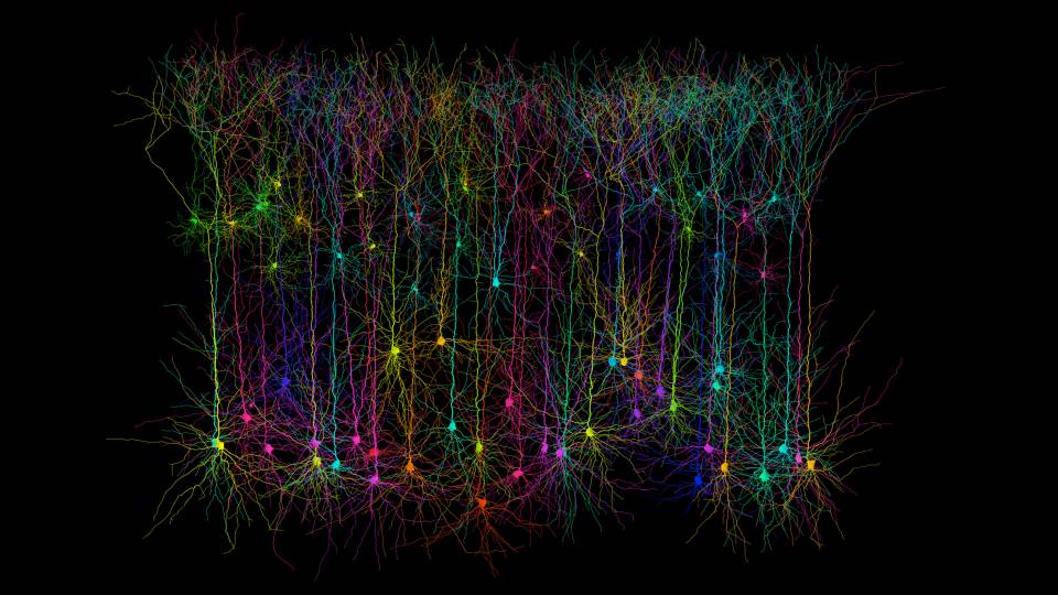 Synthetic pyramidal neurons