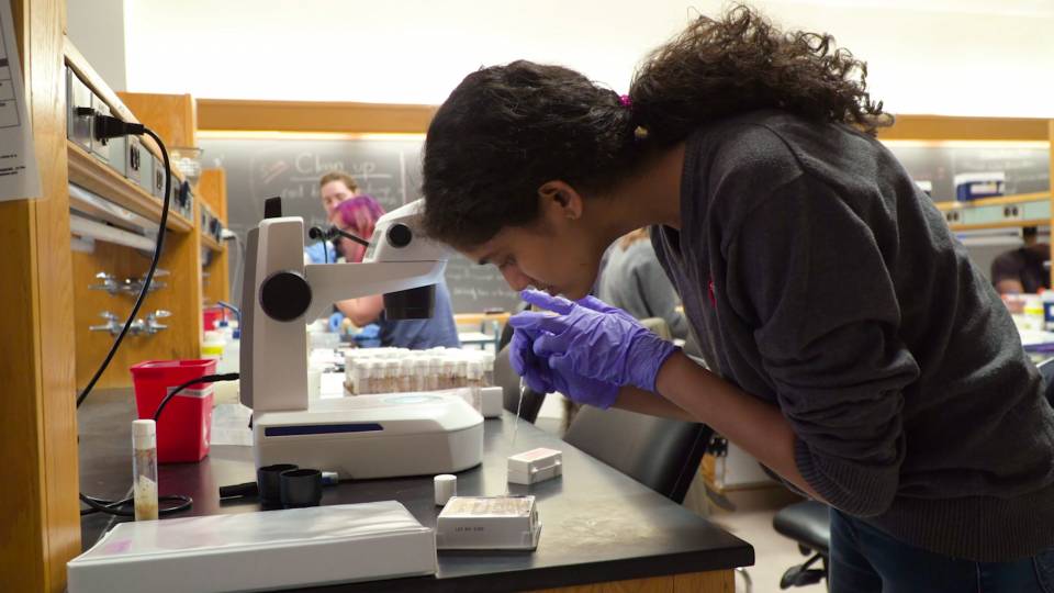 Princeton Research Day Explores The Research Process Across Disciplines