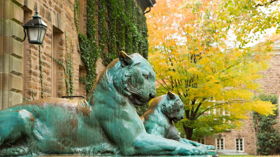 tigers in front of Nassau Hall