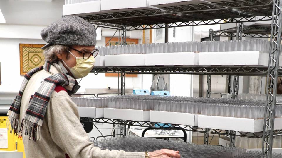 Gordon Gray looks at the rows of vials