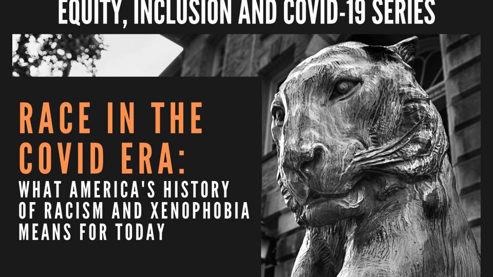 Equity, Inclusion and Covid-19 poster