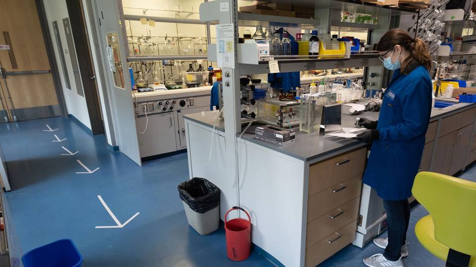 A researcher works in a lab