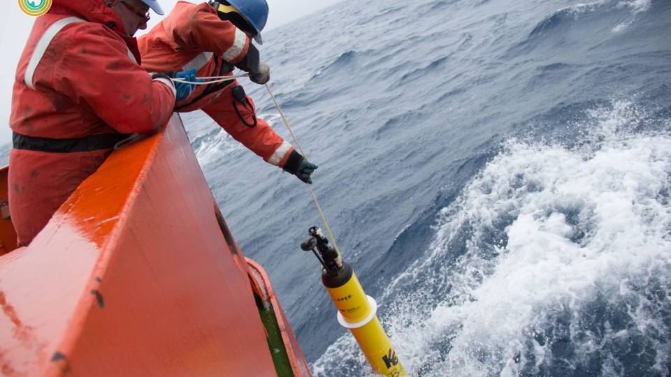 Researchers lower a device into the water