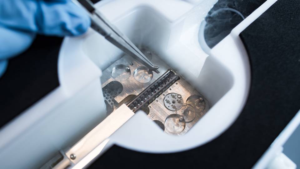 Microscope in cryo lab