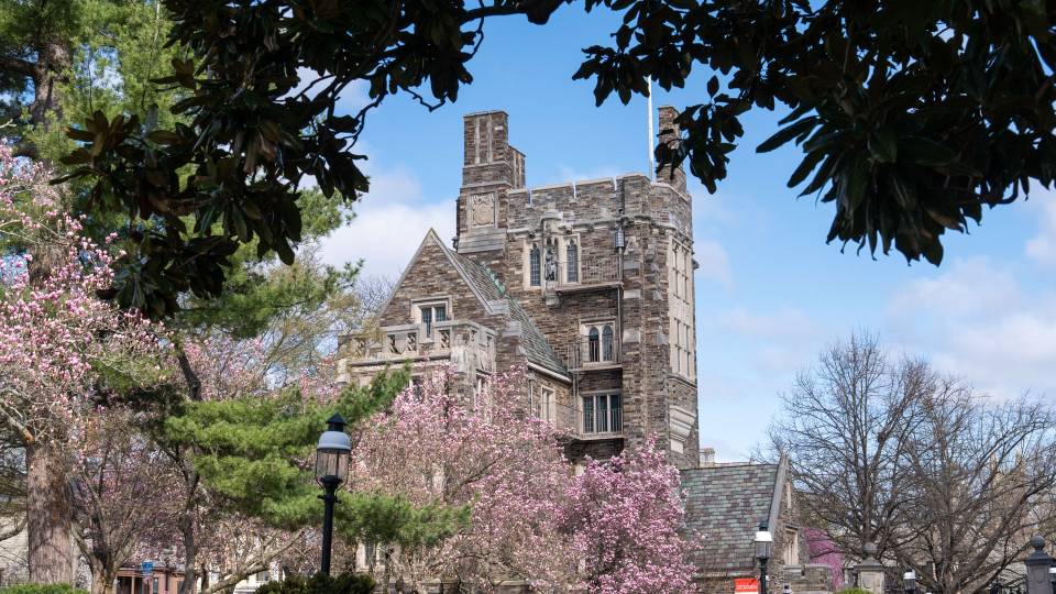 A Gothic tower on the Princeton campus, framed by spring trees in bloom