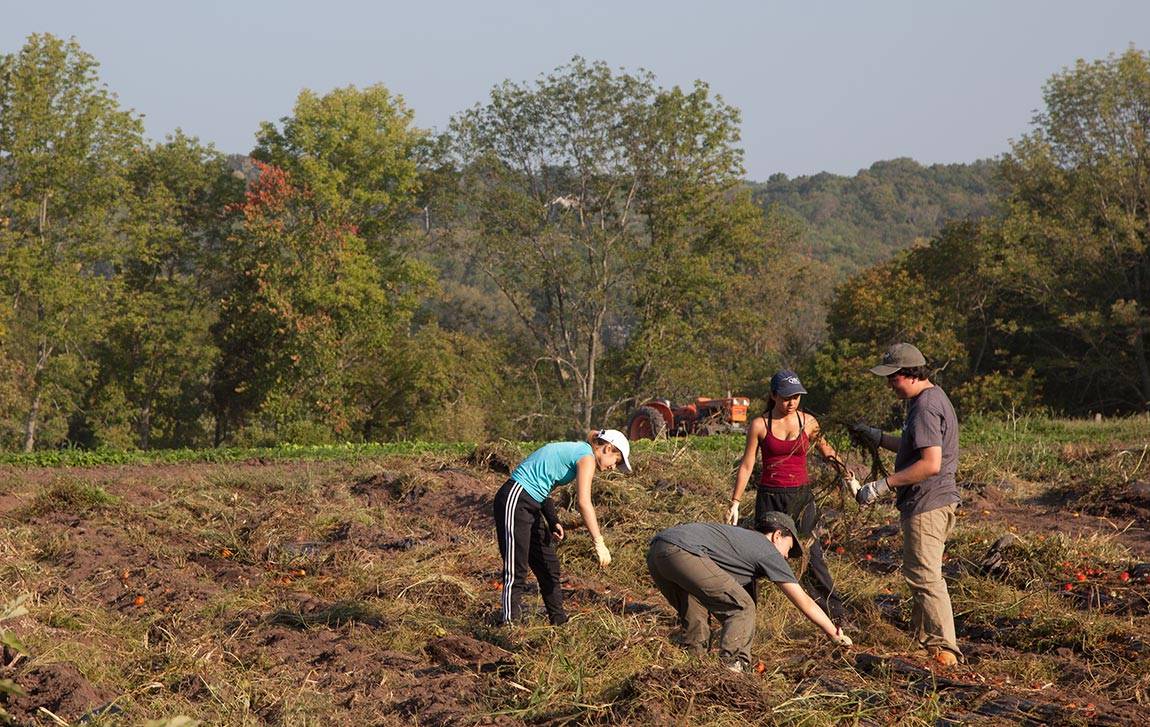Back to school Outdoor Action students at Gravity Hill Farms