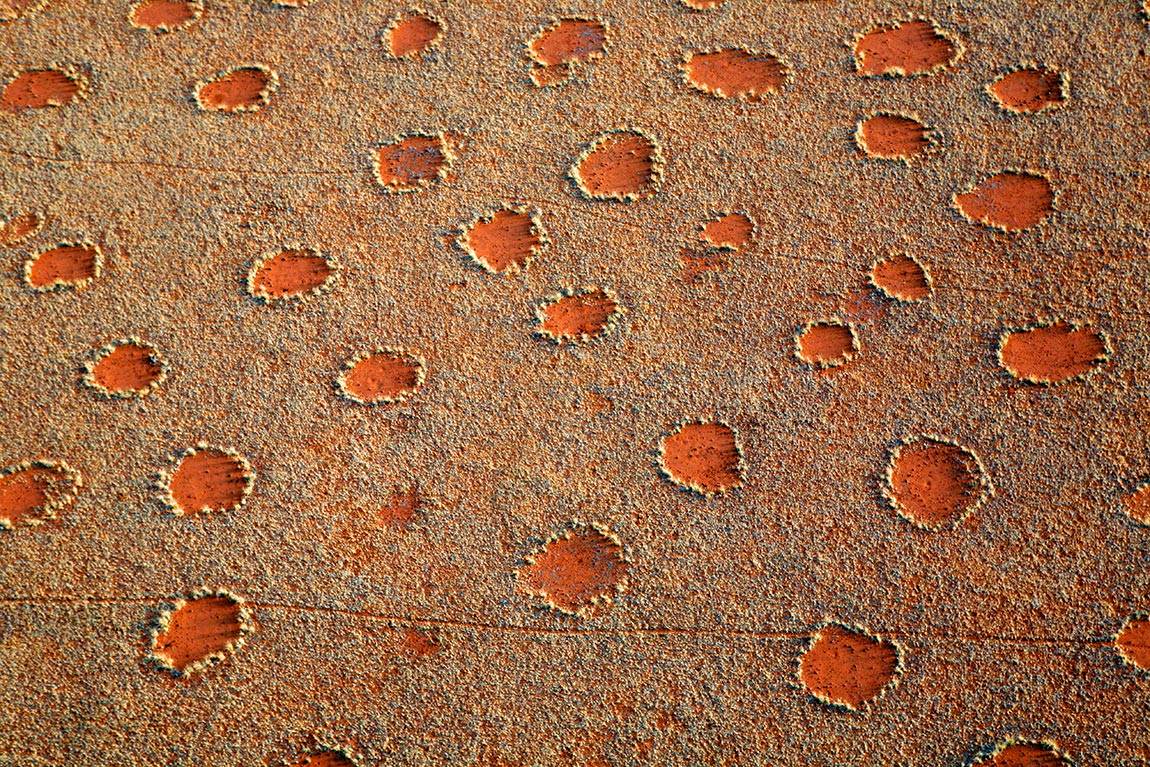 In African 'fairy circles,' a template for nature's many patterns