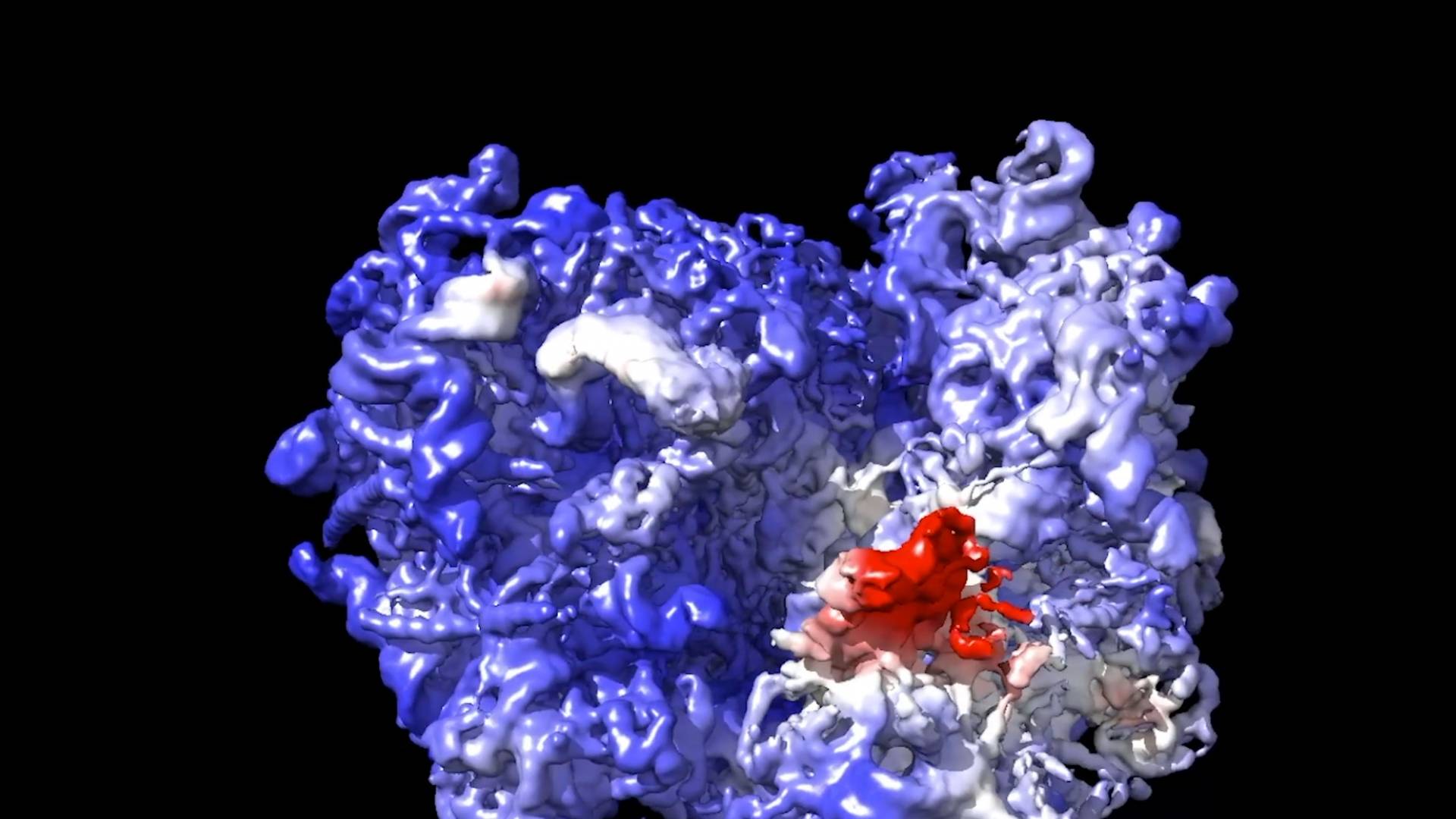 Software For Determining The 3D Structure Of Proteins