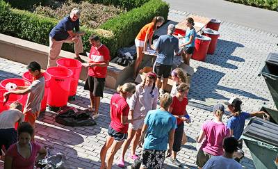 compost and recycling