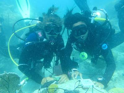 Senior Thesis Bermuda scuba