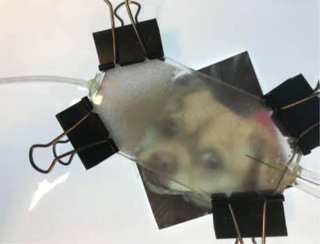 Visual demonstration of the relative effectiveness of using a particular polymer along with a dye to help pick up pollutants