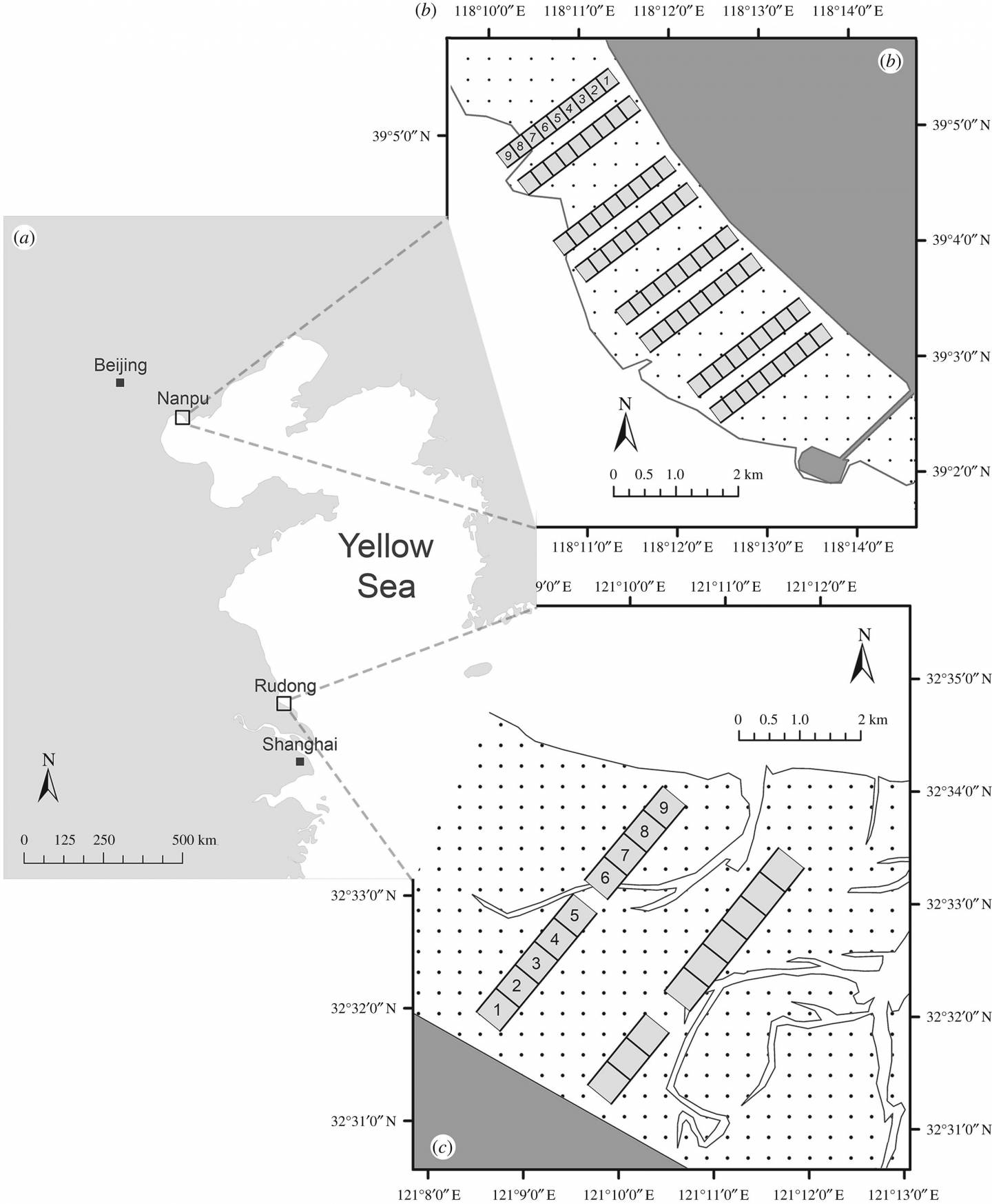 Map showing Yellow Sea region, Nanpu which is near Beijing, and Rudon, near Shanghai, which are both common stopping sitesg