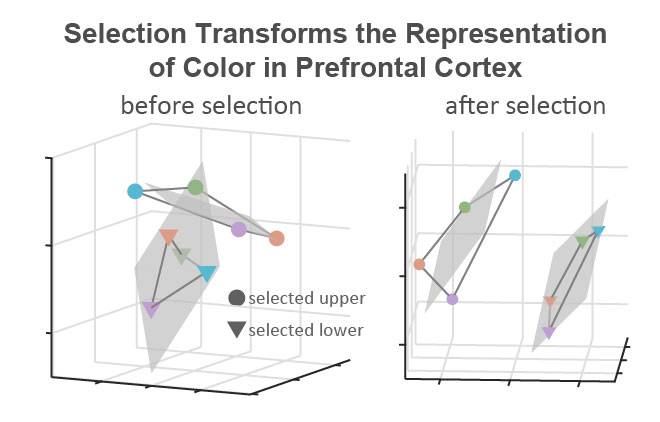 contrast before selection and after selection