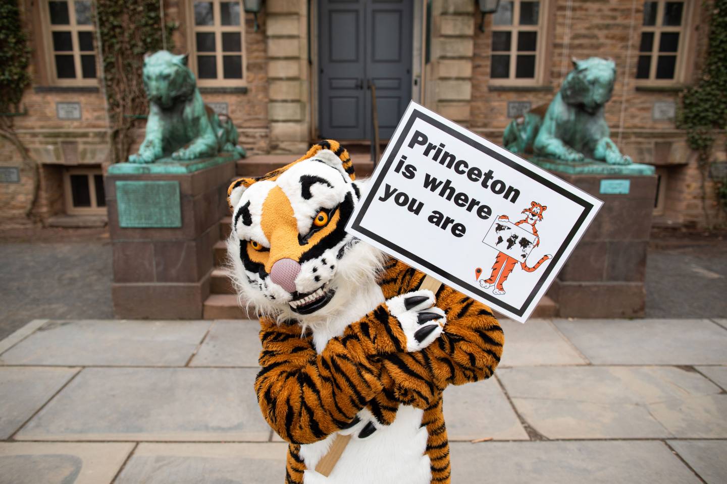 Reunions Online: Princeton is where you are