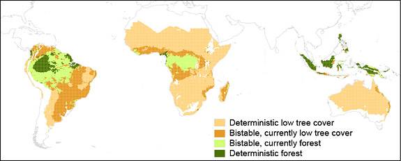 Savannas, Forests In A Battle Of The Biomes, Princeton Researchers Find