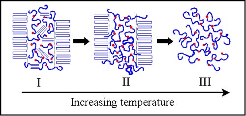 Structure and Properties of Crystallizable Ionomers - Polymer Research ...